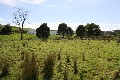 VACANT LAND - INDUSTRIAL ESTATE Picture