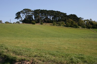 LAST CHANCE - HUGE PRICE REDUCTION - PRICED TO SELL,
NOW ! Picture