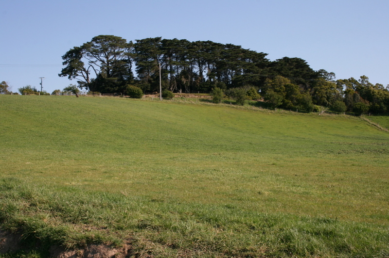 LAST CHANCE - HUGE PRICE REDUCTION - PRICED TO SELL,
NOW ! Picture 1