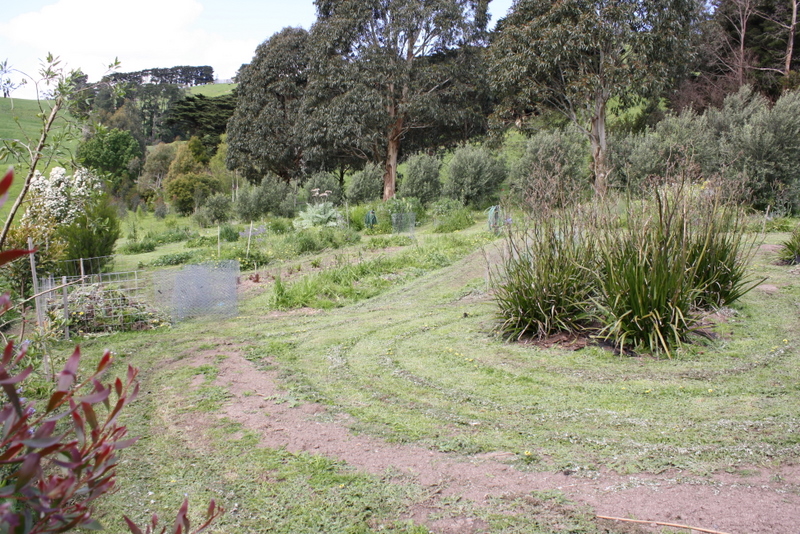 A Lifestyle in itself .... Picture 3