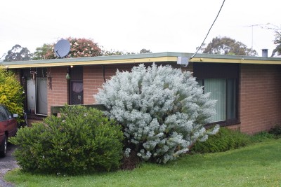 THE PRICE IS RIGHT ! Picture