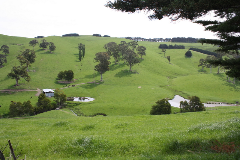 Who Said You Cant Have It All Picture 2