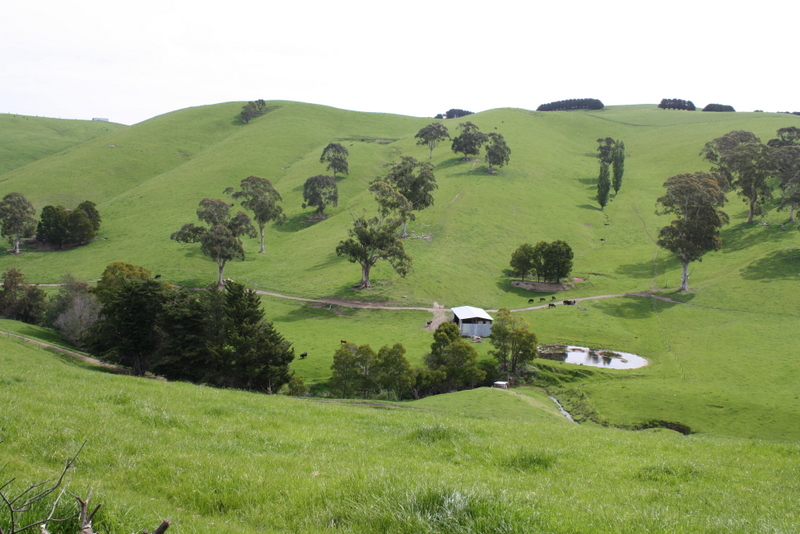 Who Said You Cant Have It All Picture 3