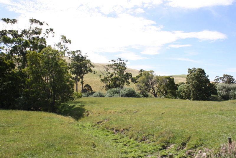 BLUE GUM COUNTRY - 105 ACRES Picture 3