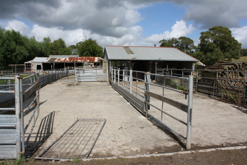 Rare Opportunity Picture 2