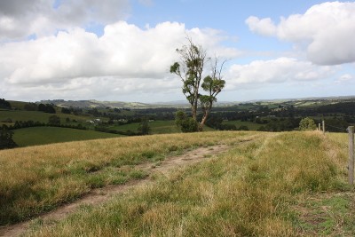 Rare Opportunity Picture