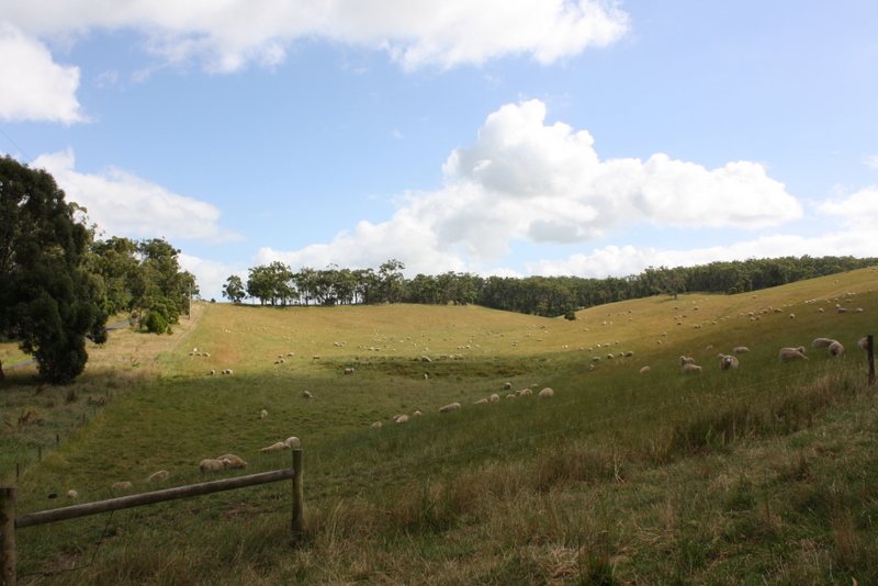 Rare Opportunity Picture 3