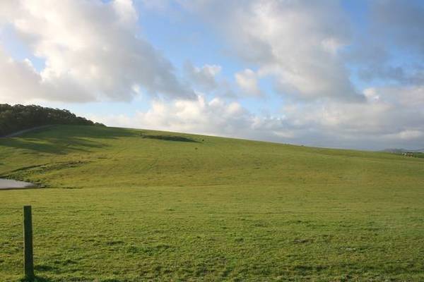 500 ACRES GRAZING PROPERTY Picture 3