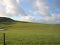 500 ACRES GRAZING PROPERTY Picture