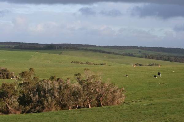 500 ACRES GRAZING PROPERTY Picture 2