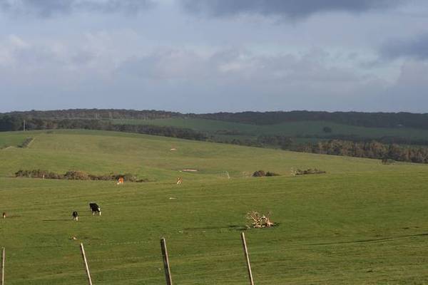 500 ACRES GRAZING PROPERTY Picture 1