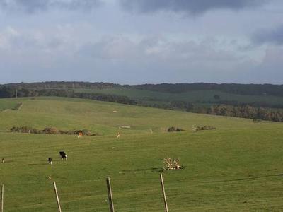500 ACRES GRAZING PROPERTY Picture