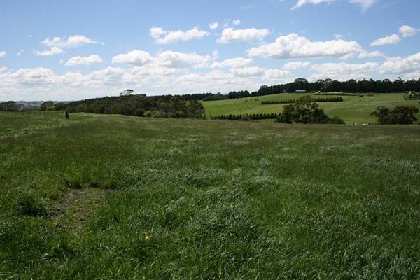 HERE'S YOUR CHANCE Picture 1