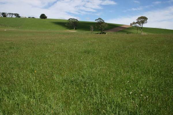 HERE'S YOUR CHANCE Picture 2