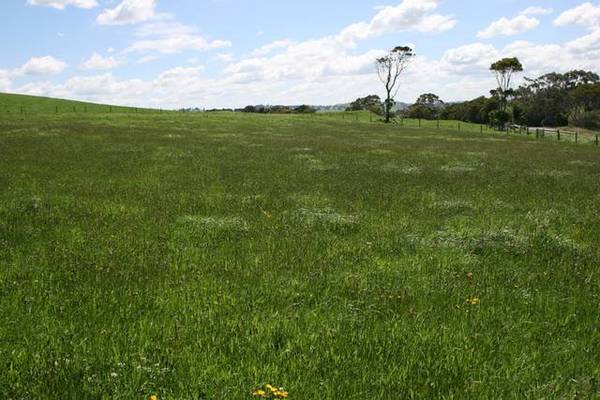 HERE'S YOUR CHANCE Picture 3