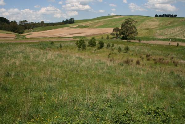 Opportunity Knocks Picture 2