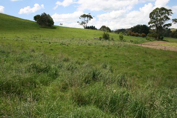 Opportunity Knocks Picture 3