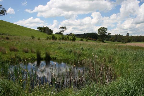 Opportunity Knocks Picture 1