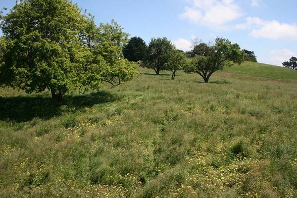 SCENERY SIMPLY BREATHTAKING Picture 3