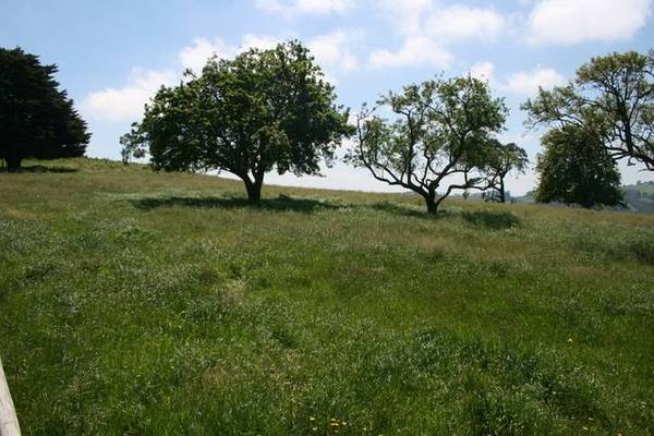 SCENERY SIMPLY BREATHTAKING Picture 2