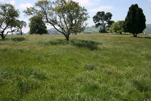 SCENERY SIMPLY BREATHTAKING Picture 1