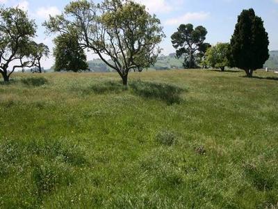 SCENERY SIMPLY BREATHTAKING Picture