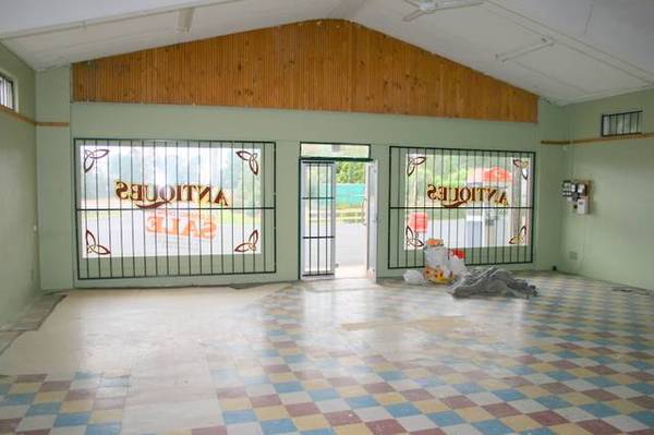 If You Want Me Make An Offer Picture 3