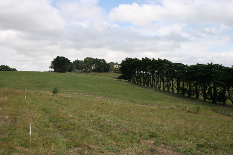 ELEVATED BLOCK WITH VIEWS Picture 2
