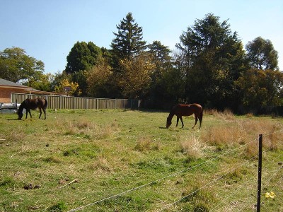 Large Building Block Picture Large Building Block Picture