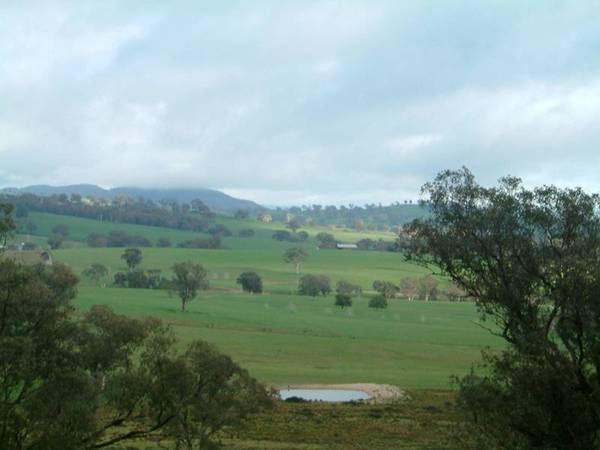 Roslyn & Roslyn Subdivision, Cowra Picture 2