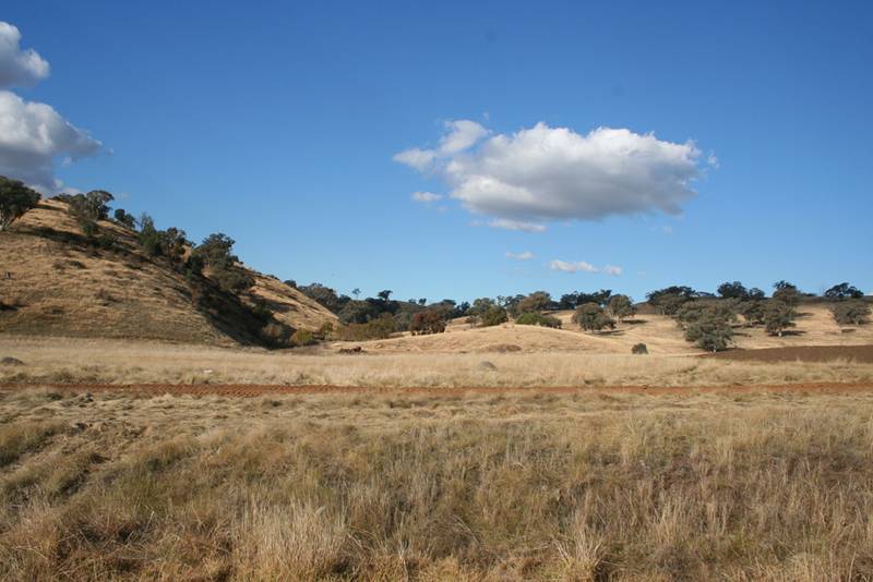 Lot 104 Bunyarra Lane, Borenore Picture 3