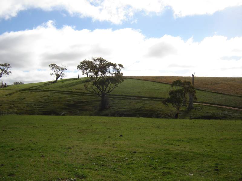 Picturesque grazing block Picture 1