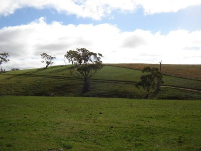 Picturesque grazing block Picture Picturesque grazing block Picture