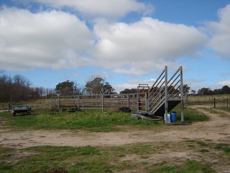 Picturesque grazing block Picture 3