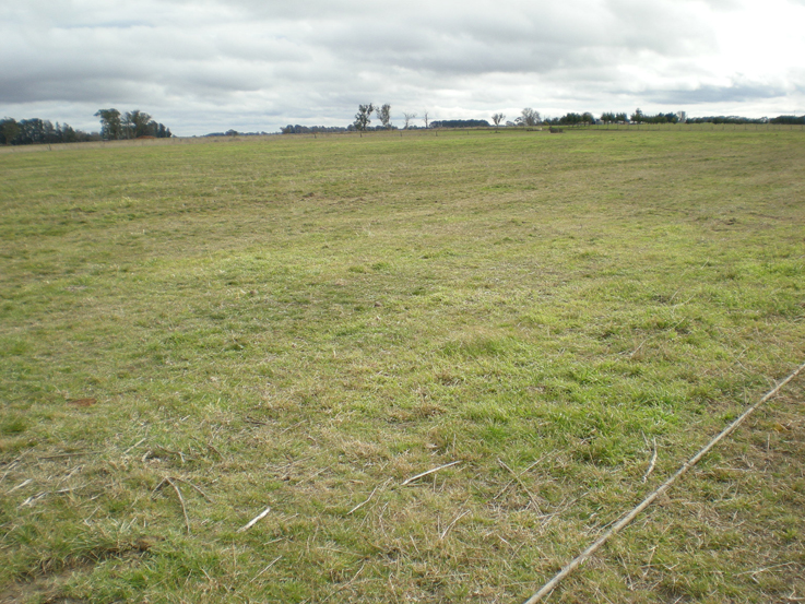 Studleigh Subdivision, Spring Hill Picture 1