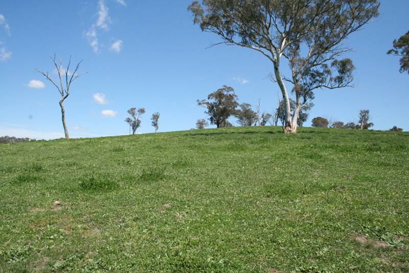 Swallow Creek, 2137 Ophir Road, Rock Forest via Bathurst Picture 3