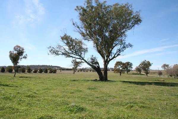 Lot 4, Part Buckinbah, Beaumah Road, Spring Hill Picture 1