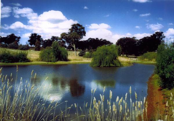 Quality Farming and Grazing Country Picture 2