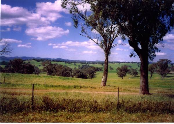 Quality Farming and Grazing Country Picture 3