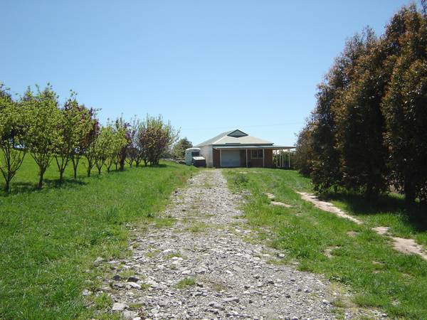 Lot 2, 980 Browns Creek Road, Blayney Picture 3