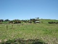 Lot 2, 980 Browns Creek Road, Blayney Picture Lot 2, 980 Browns Creek Road, Blayney Picture