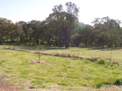 30 Sharpe Street, Cargo Picture