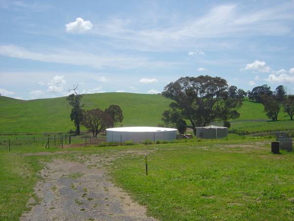 Tintinara, 1654 The Escort Way, Orange Picture 2