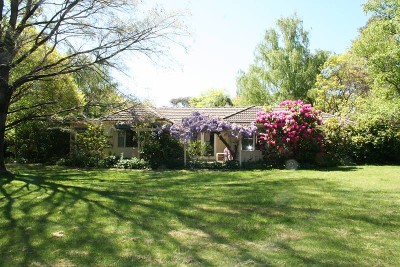 Rush Green, 78 Forbes Road, Orange Picture