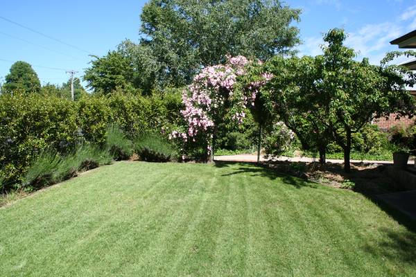 193 March Street, Orange Picture