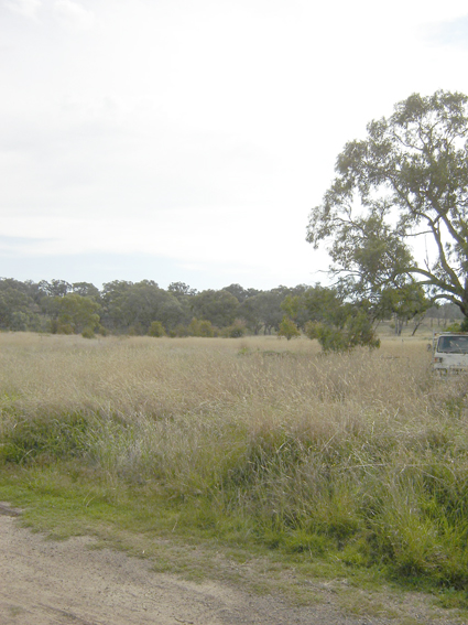 Industrial Subdivision, Hill Street, Molong Picture 2