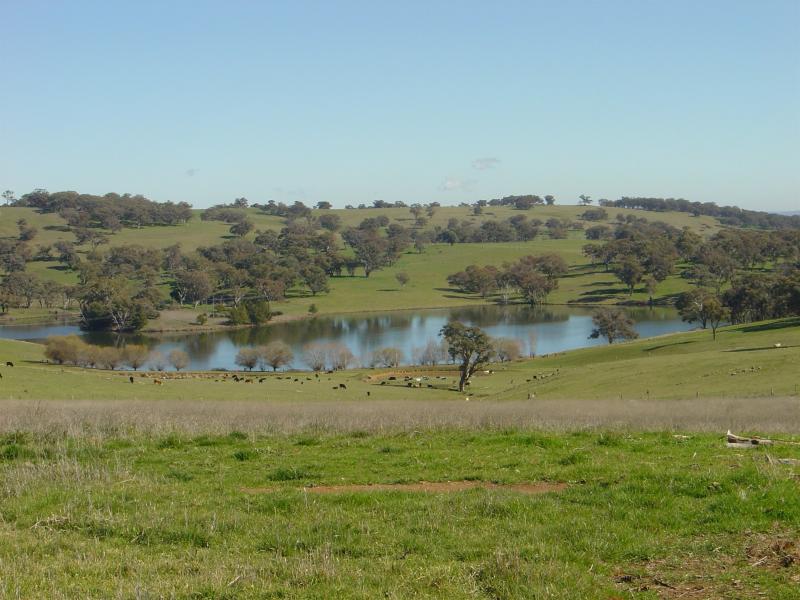 WINDERA ESTATE Picture 1