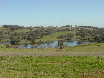 WINDERA ESTATE Picture WINDERA ESTATE Picture