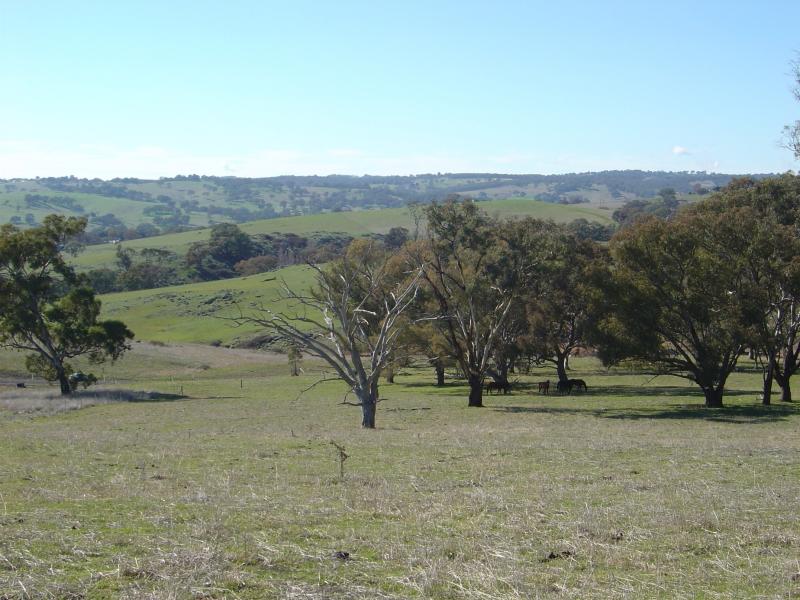 WINDERA ESTATE Picture 2