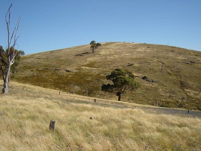 Panoramic Views to Mt Canobolas Picture
